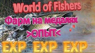 Лучшие медали для заработка опыта в игре World of Fishers