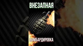 Тоз с теплаком + граната ф1