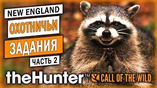 НОВЫЕ ЗАДАНИЯ В НОВОМ ЗАКАЗНИКЕ! | Горы Новой Англии | theHunter Call of the Wild  | Часть #2