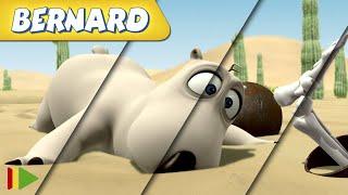 ‍️ BERNARD  | Collection 37 | Full Episodes | VIDEOS and CARTOONS FOR KIDS