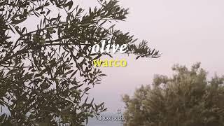 Olive - WARCO (Official Lyrics and Chords Video)