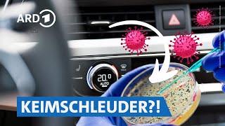 Auto-Klimaanlage: Vorsicht vor krankmachenden Keimen | Markt NDR