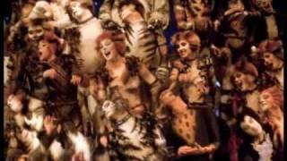 Cats the Musical: Jellicle Songs