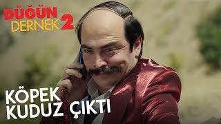 Düğün Dernek 2: Sünnet | Köpek Kuduz Çıktı