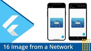 Flutter Tutorial - 16 Image Widget | Importing Image from a Network