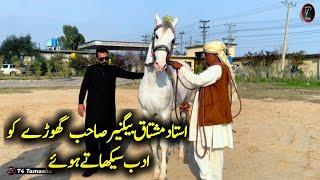 Horse Training by ustad Mushtaq bignair - neza Bazi 2024