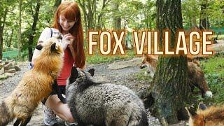 Fox Village in Zao Japan!  蔵王きつね村・kitsune mura