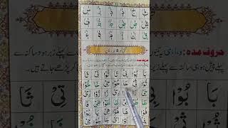 Noorani Qaida Full Lessons by Qari Saeed Ahmed Panipati | Learn Quran Basics#surahalmulktilawat