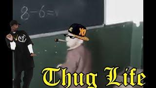 OS REIS DO THUG LIFE | THE KING OF THUG LIFE #31