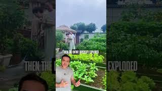 The Silent Food Revolution Big Corporations Don't Want You to Know About!