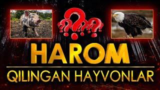 HAROM GO'SHT•GO'SHTI HAROM QILINGAN HAYVONLAR