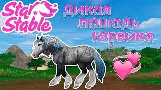 ПОКУПКА НОВОЙ ДИКОЙ ЛОШАДИ ЮРВИКА | Star Stable Online | Liza Star