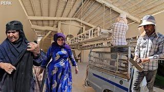 Fariba Goes to the City with Uncle Reza to Buy Plaster