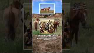 North Dakota’s Dakota Horse: A Symbol of Resilience and Heritage  #brainbeats