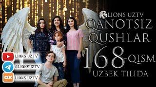 QANOTSIZ QUSHLAR 168 QISM TURK SERIALI UZBEK TILIDA | КАНОТСИЗ КУШЛАР 168 КИСМ УЗБЕК ТИЛИДА