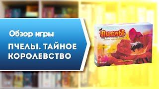 ПЧЁЛЫ. Обзор и правила настольной игры от Эврикус