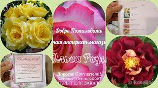 Обзор посылки с розами из питомника "ОЛЬГА РОЗЫ". #розы #уральскиерозы #обзорпосылки