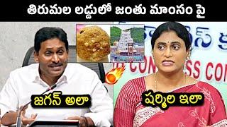 YS Jagan And YS Sharmila Reaction On Animal Fat In Tirumala Laddu | Tirumala Prasadam | News Buzz