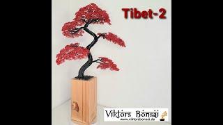 ViktorsBonsai -Tibet-2, Drahtbaum, Baum aus Draht,  Bonsai, Drahtbaum kaufen, Drahtbaum als Geschenk