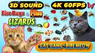 CAT GAMES BiBi TV | Ultimate Cat TV Compilation SPECIAL VOLUME #119 | 3 HOURS | Game On Screen