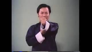 Mestre Wong Shun Leung - Técnicas básicas (primeiro vídeo de Wing Chun que assisti na vida)