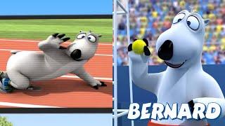 ‍️ BERNARD in the OLYMPIC GAMES | Full Episodes | VIDEOS and CARTOONS FOR KIDS