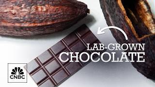 The price of cocoa is soaring — could lab-grown chocolate be the answer?