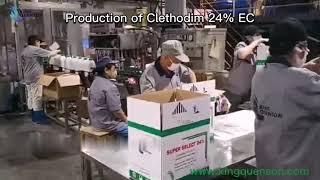 King Quenson Production Of Clethodim 24%EC