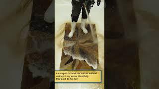 The Ultimate Rescue! Can I Restore This Flood Damaged Rug? Satisfying ASMR Carpet Cleaning. #shorts