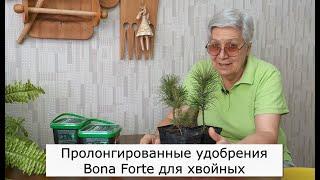 Пролонгированные удобрения для хвойных и гортензий Bona Forte рассказывает Тетя Таня "Голова садовая