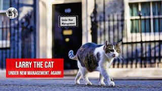 Larry, The Downing Street Cat - Under new Management