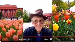 ENTOMOLOGY,  FLOWERS, WASPS & BEES in KYIV, UKRAINE: ON-AIR Stream, MAY 04th, 2023