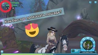 КАК БЫСТРО ПРОКАЧАТЬ ЛОШАДЬ?! МАРШРУТ/ Star Stable Online