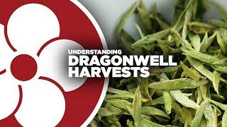 Dragonwell Harvests