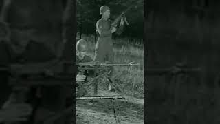 Original Sound of the MG 34, MG 42, and MP 40 Firing WWII #shorts