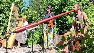 Serenade Your Plants: Garden Music with Didgeridoo, Harp & Violin