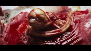 Alien (1979) - Chestburster scene -  English