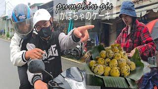 The Thieves' Terrifying Revenge: Nhu Faces a Pumpkin Feast Showdown | Ly Phuc Huyen