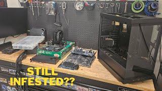 Will I recover from my infested PC parts haul??