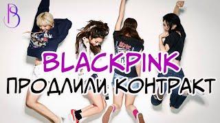 BLACKPINK продлили контракты | Камбэк с альбомом и новый тур