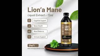 How Can Lion’s Mane Boost Brain & Nerve Health?