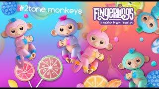 Fingerlings 2Tone  Dipped in Color, Splashing Your Way!