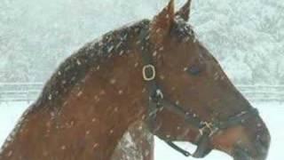 The Blizzard - Jim Reeves - Tall Tales Short Tempers