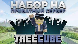 НАБОР НА ПРИВАТНЫЙ СЕРВЕР МАЙНКРАФТ ЮТУБЕРОВ | TreeCube 1.20