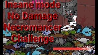 My Quest To Beating The Insane Mode No Damage Necromancer Challenge