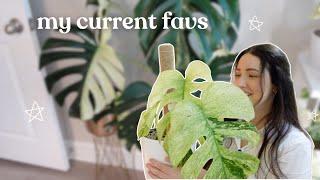 My 10 Current Plant Obsessions 