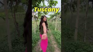 Thailand Mein GOLD! #insanyaty #travel #thaicity #thailand #gold #travelvlog