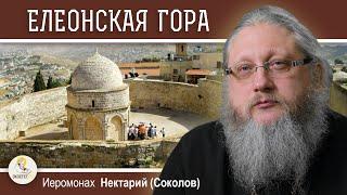 ЕЛЕОНСКАЯ ГОРА. Часть #1. Место Вознесения Господня. Иеромонах Нектарий (Соколов)