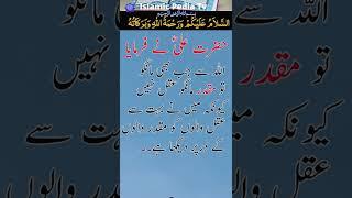 Hazrat Ali Ke Aqwal | Islamic Pedia TV#shorts #youtubeshorts