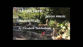 Shadow Waltz